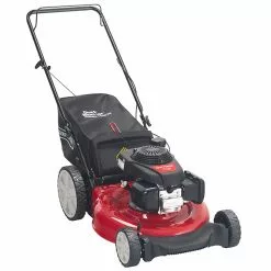 CRAFTSMAN Gas Push Mower - 2-in-1 - 160 cc - Red