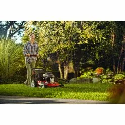 Craftsman 2-in-1 Gas Pushed Mower - 21'' - 160 cc -Craftsman Sales Shop 02225430e L