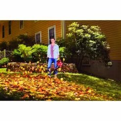 Craftsman V20 Trimmer and Blower Kit - 20-Volt - Lithium-Ion Battery - 13-in Cutting Swath -Craftsman Sales Shop 22465142c L