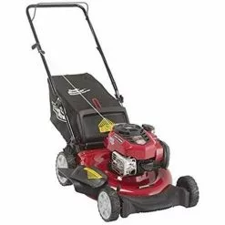 Craftsman 11A-A21B599 163 cc 21-in Gas Push Lawn Mower Briggs & Stratton
